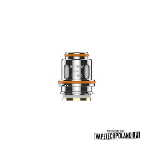Grzałka - Geekvape Mesh Z - 0.25ohm (5szt.) -zdjęcie numer 1