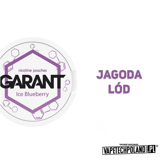 Snus Garant - Ice Blueberry 20MG -zdjęcie numer 2