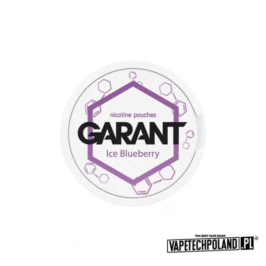Snus Garant - Ice Blueberry 20MG -zdjęcie numer 1