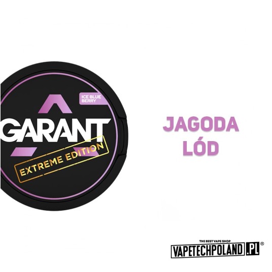 Snus Garant - Ice Blueberry 50MG -zdjęcie numer 2