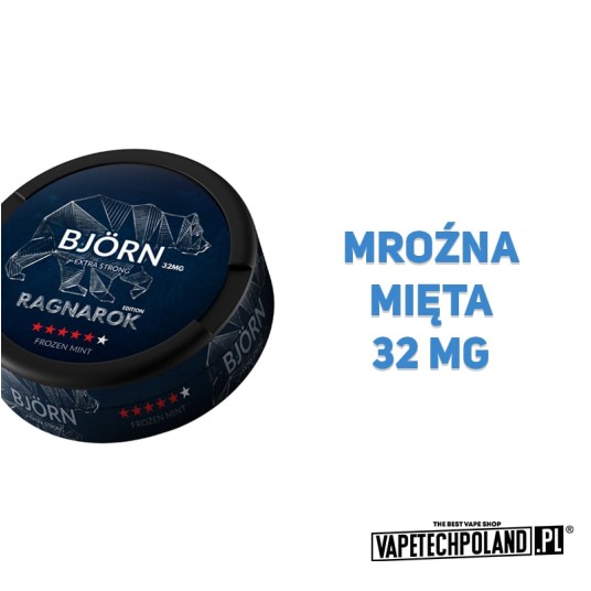 Woreczki Nikotynowe BJORN - Frozen Mint 3 -zdjęcie numer 2