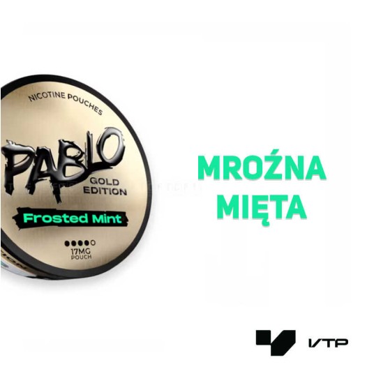 *Woreczki nikotynowe - PABLO GOLD Frosted Mint24MG -zdjęcie numer 2