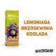 **MONKEY SPLASH - Lemoniada brzoskwiniowa Kool 20 -zdjęcie numer 2