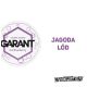 Snus Garant - Ice Blueberry 20MG -zdjęcie numer 2