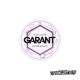 Snus Garant - Ice Blueberry 20MG -zdjęcie numer 1