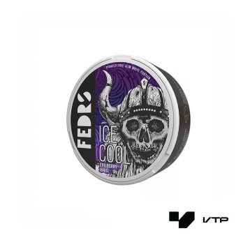 **Woreczki nikotynowe FEDRS ICL- Blueberry 20mg/g